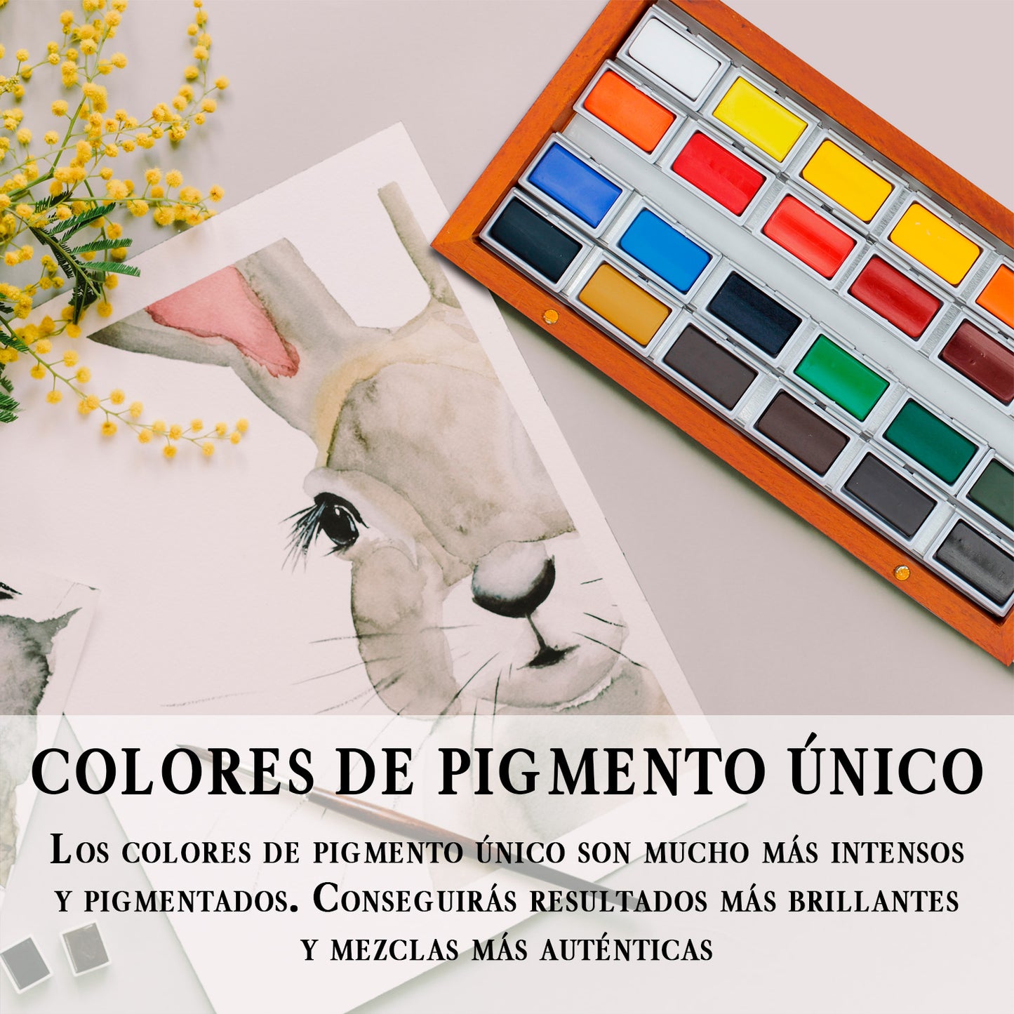 Set Acuarelas Profesionales de Alta Pigmentación | Incluye 24 Colores Grandes, Caja de Madera y Paño | Acuarelas Calidad Artista